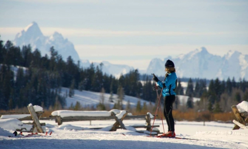 CX skiing